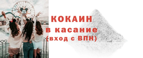 соль ск Строитель