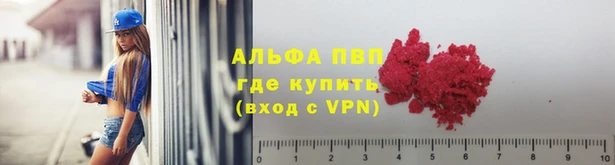 винт Вяземский