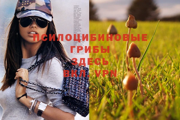 бошки Вязники