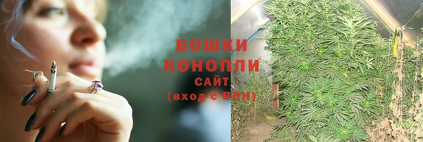 винт Вяземский